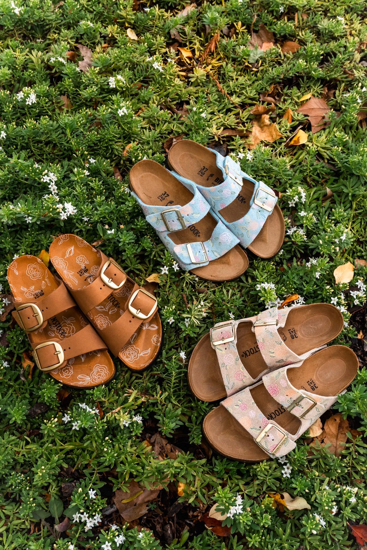 Three pairs of floral Birkenstock sandals in brown, light blue, and beige arranged among green plants and small white flowers.