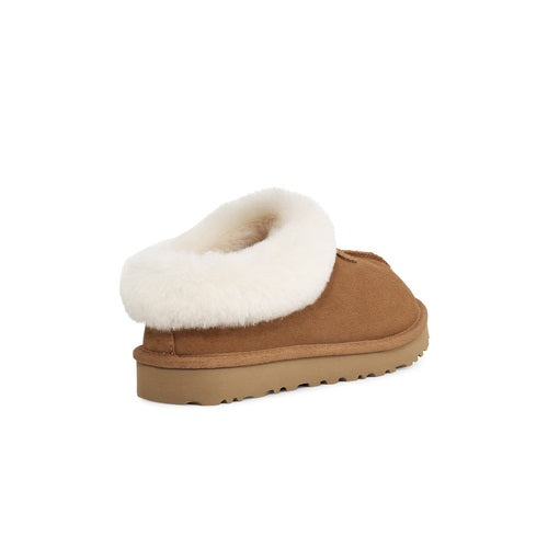 Tazzette (Chestnut) back