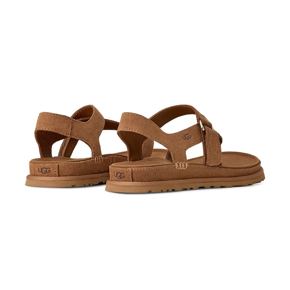 Women's Goldengaze Toe Post (Chestnut) back