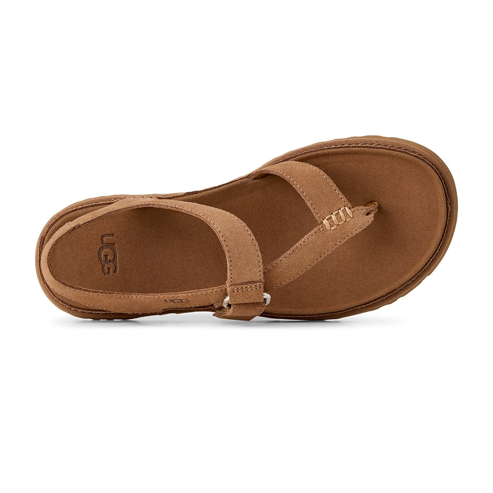 Women's Goldengaze Toe Post (Chestnut) top