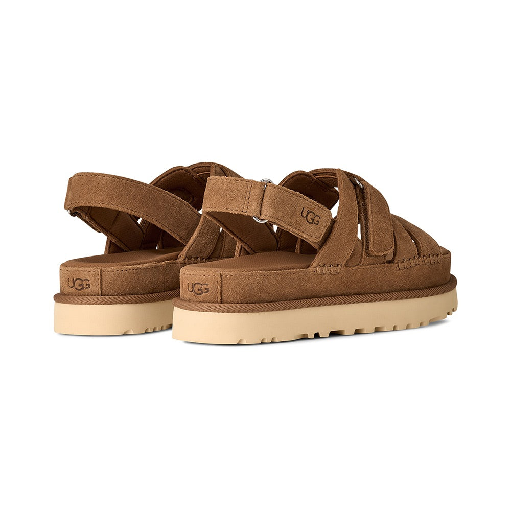 Women's Goldenstar Gleam (Chestnut) back