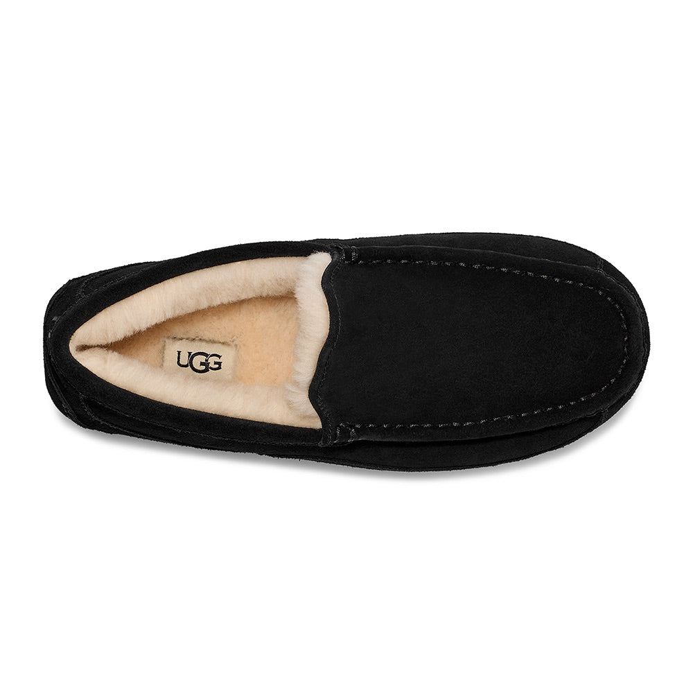 Men's Ascot (Black) top