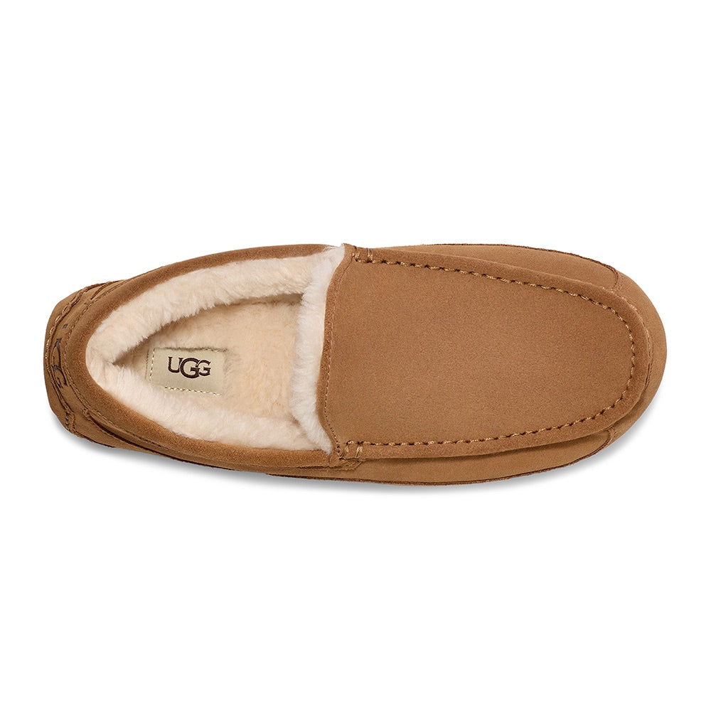 Men's Ascot (Chestnut) top