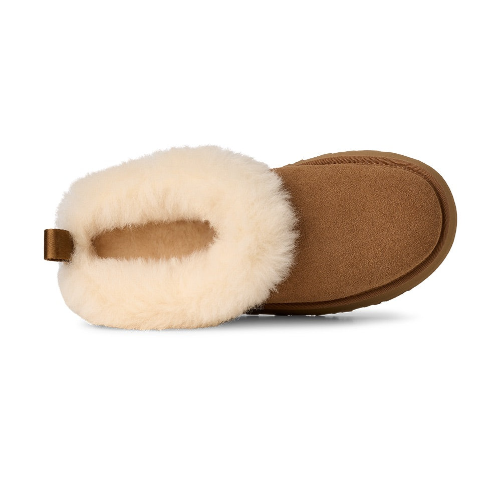 Tazzelle (Chestnut) top