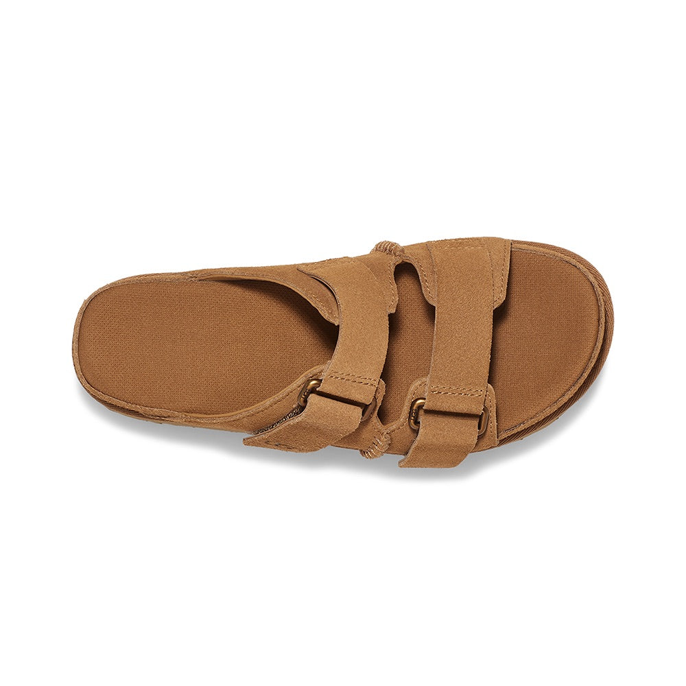 Goldenstar Hi Slide (Chestnut) top