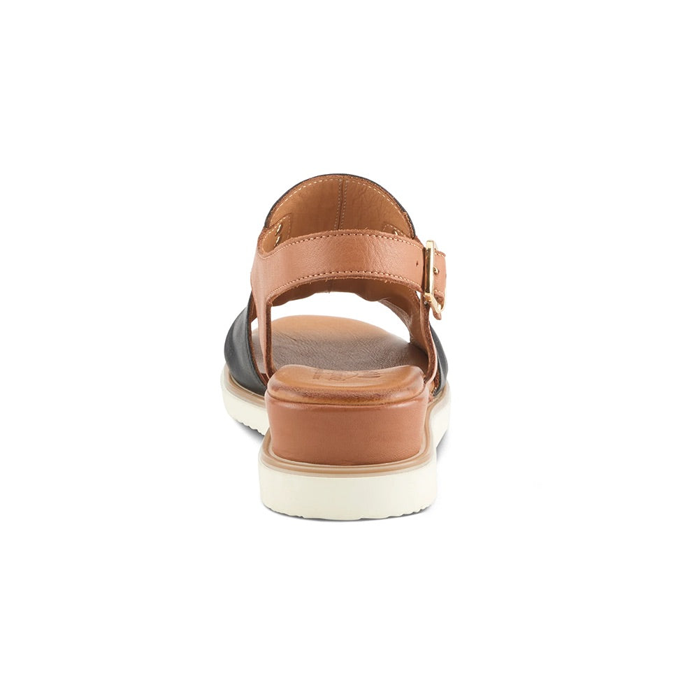 Locals (Black Multi) back