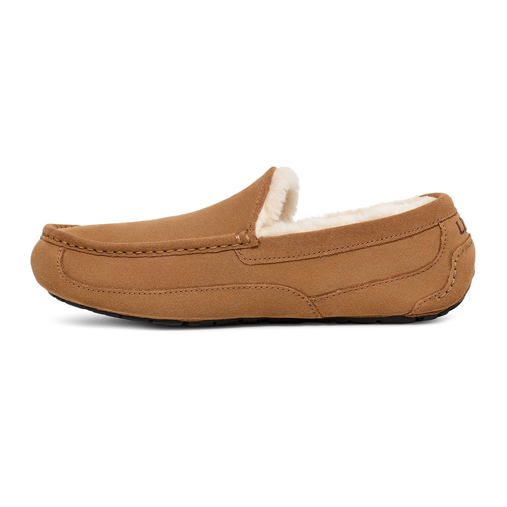 Men's Ascot (Chestnut) other side