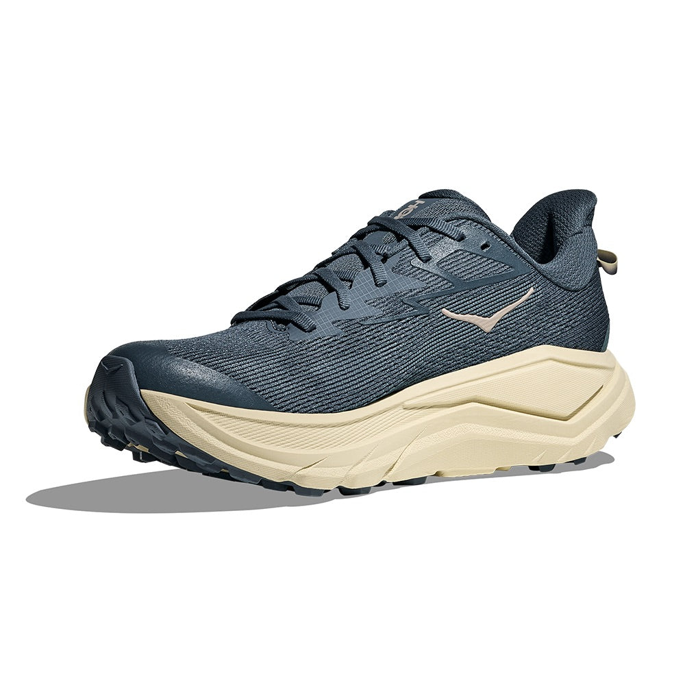 Men's Challenger 8 (Faded Navy/Pampass Grass) other side