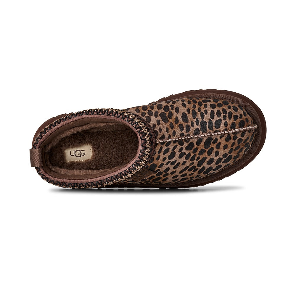 Tazz Caspian (Burnt Cedar) top